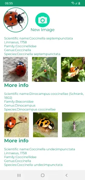 Insektenidentifikator screenshot 7