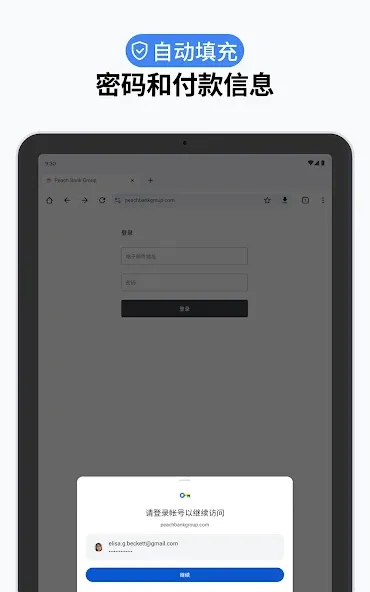 Google Chrome 浏览器 screenshot 10