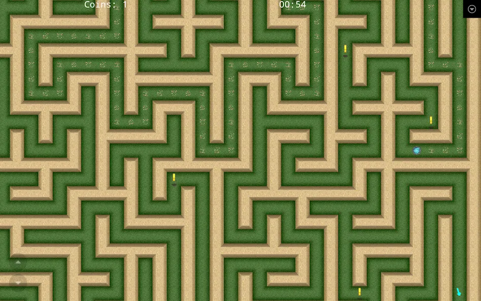 Maze Rush 3D screenshot 9