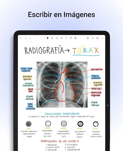 Noteshelf: Notas Digitais screenshot 16