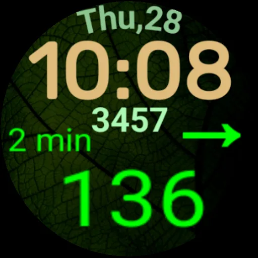 DMM6 Diabetic Watch Face XXL screenshot 6