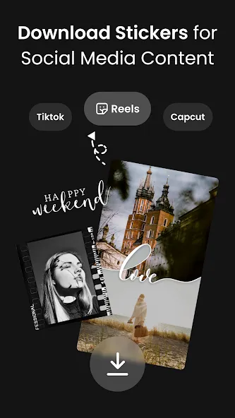 Vivisticker screenshot 3