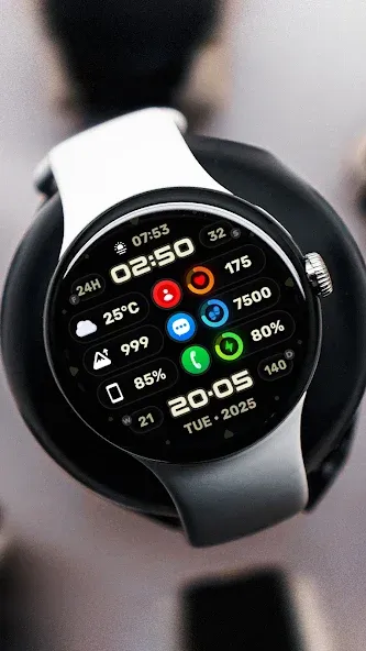 Wyvern Watch Face screenshot 7