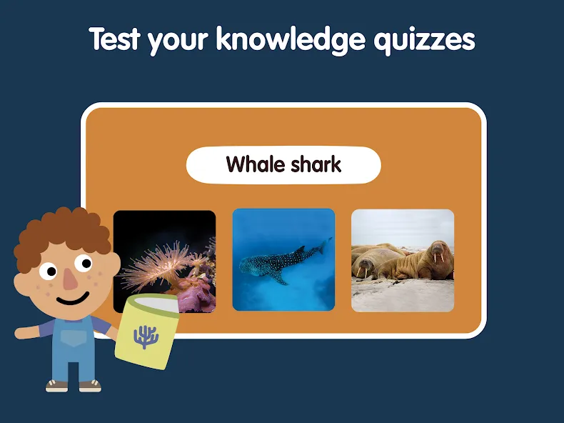 Learn Ocean Animals for kids screenshot 24