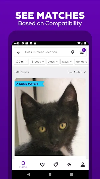 Petfinder - Adopt a Pet screenshot 2