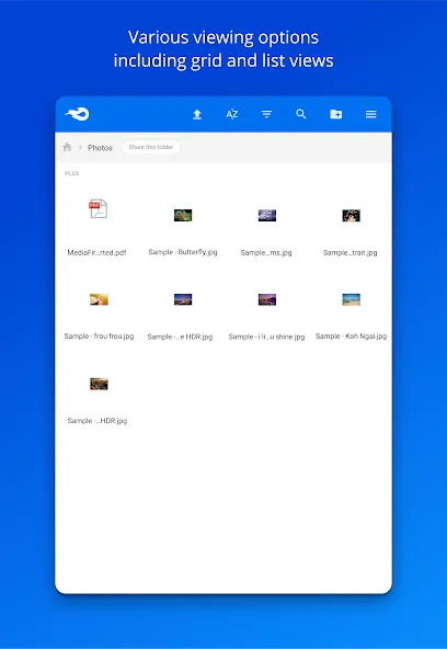 MediaFire screenshot 10