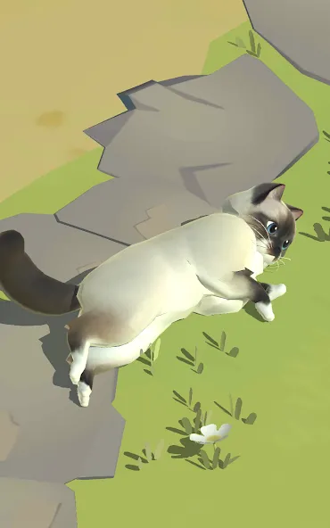 Kitty Cat Resort screenshot 16