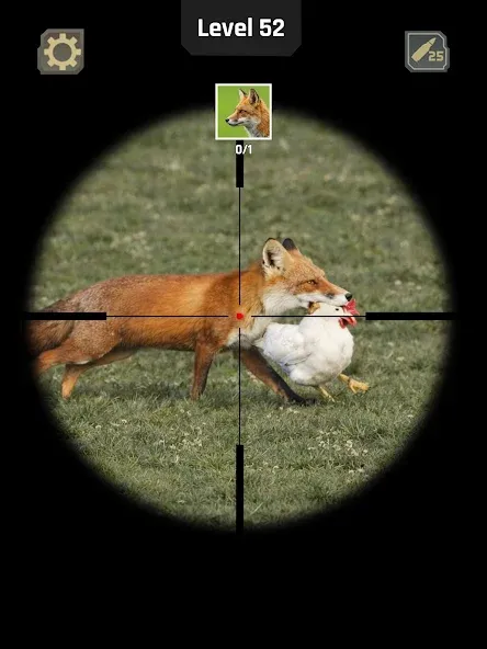 Animal Hunter: Wild Shooting screenshot 11