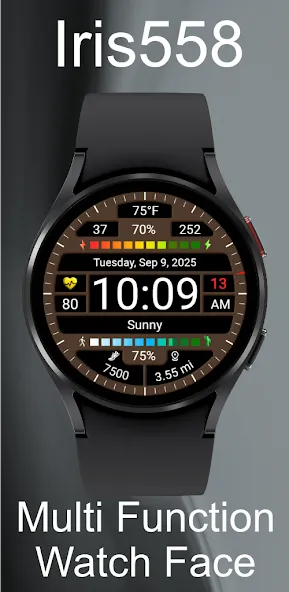 Iris558 Multi-Function Watch screenshot 3