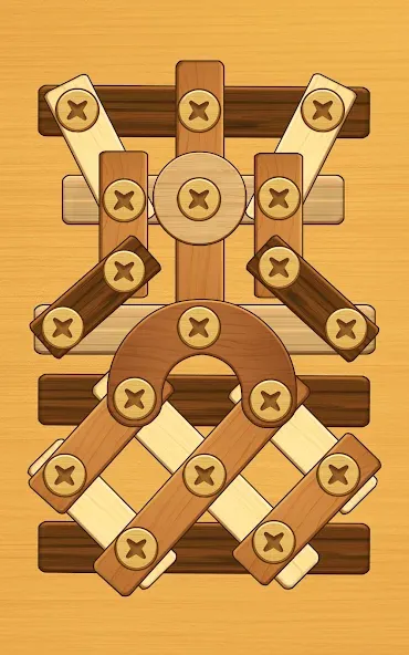 Screw Puzzle: Wood Nut & Bolt™ screenshot 21
