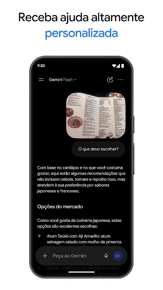 Google Gemini screenshot 8
