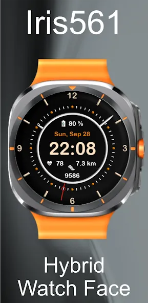 Iris561 Hybrid Watch Face screenshot 2