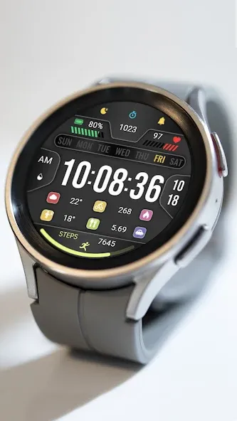 Business Clarity ZKin Watch screenshot 3