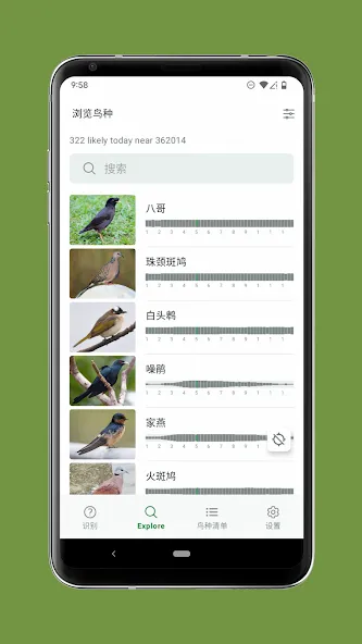 Merlin 鸟种识别 by Cornell Lab screenshot 4