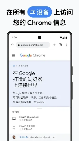 Google Chrome 浏览器 screenshot 5
