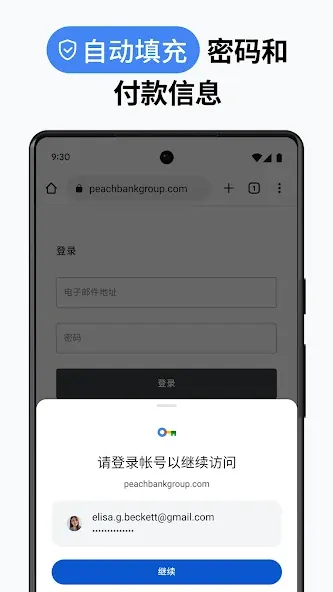 Google Chrome 浏览器 screenshot 2
