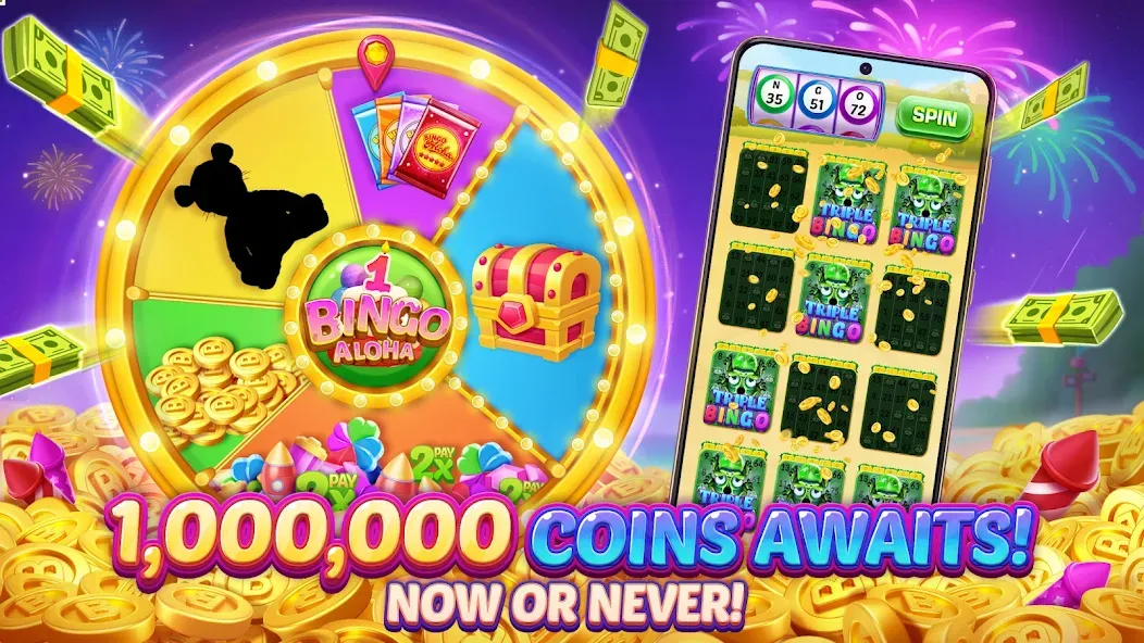 Bingo Aloha-Bingo Live at home screenshot 6
