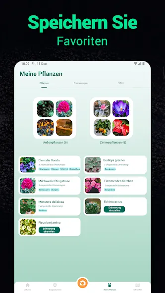 Plantum - Pflanzen bestimmen screenshot 32