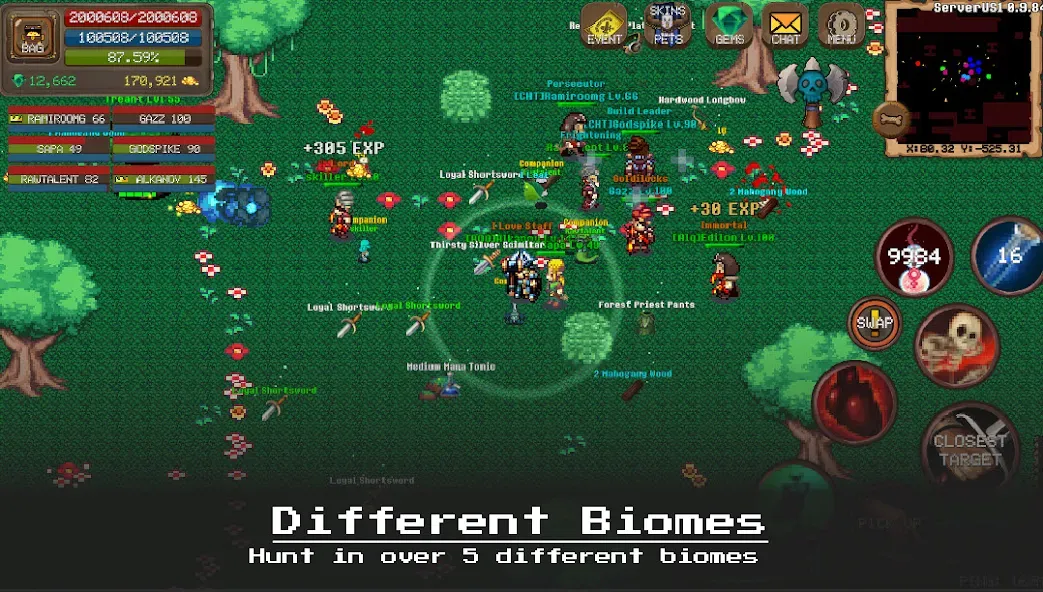 Laurum Online - 2D MMORPG screenshot 5