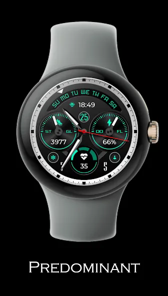 Predominant | watch face screenshot 2