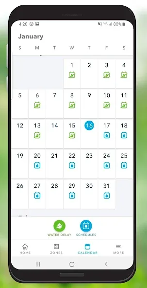 Rachio screenshot 4
