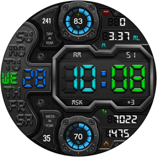 DIGI RAPANS WS24 Watch face screenshot 22