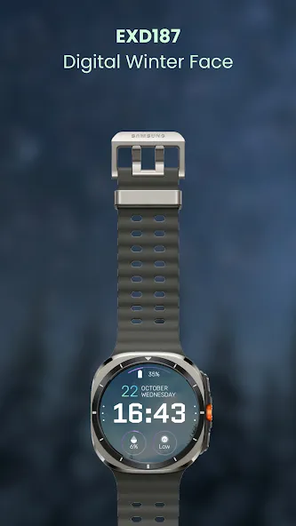 EXD187: Digital Winter Face screenshot 6