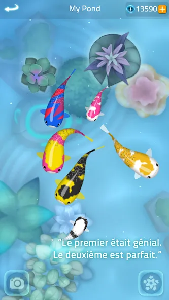 Zen Koi 2 screenshot 4