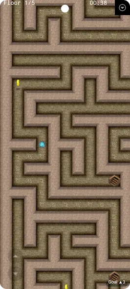 Maze Rush 3D screenshot 3