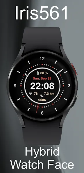 Iris561 Hybrid Watch Face screenshot 4