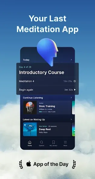 Waking Up: Meditation & Wisdom screenshot 1