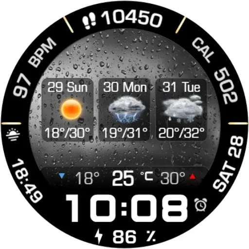 Animated Weather 3 Days Data screenshot 20