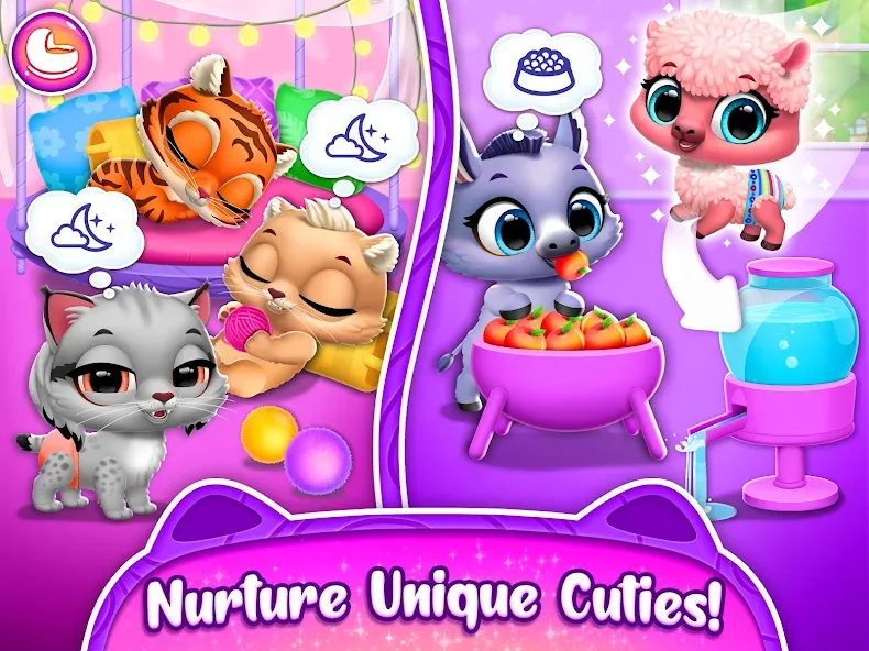 Jungle Floof - Island Pet Care screenshot 13