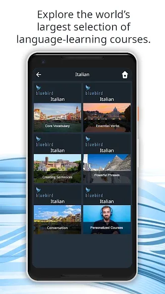Learn 163 Languages | Bluebird screenshot 1