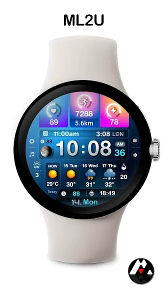 ML2U 243 Watch Face screenshot 4