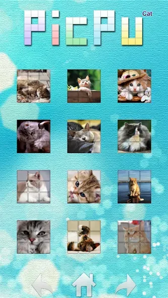 PicPu - Cat Picture Puzzle screenshot 2