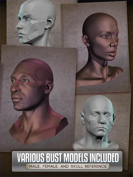 Handy Art Reference Tool screenshot 10