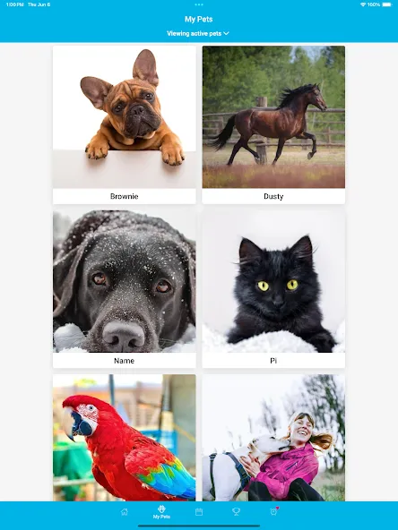 PetPage screenshot 18