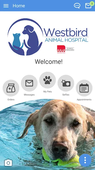 Westbird Vet screenshot 1