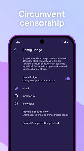 Tor Browser screenshot 2