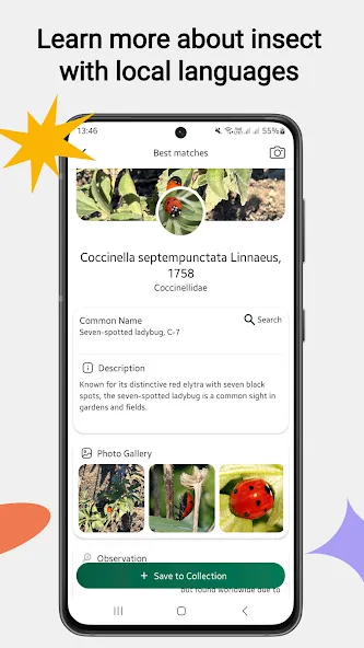 Insektenidentifikator screenshot 2