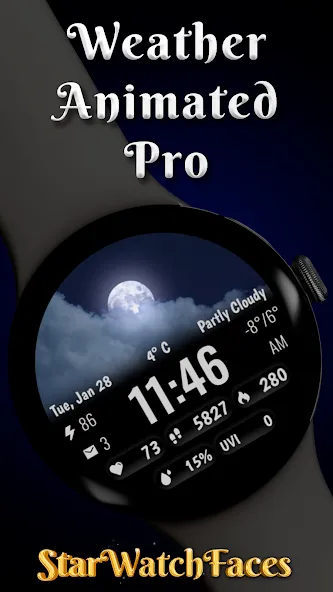 Weather Animated Pro screenshot 1