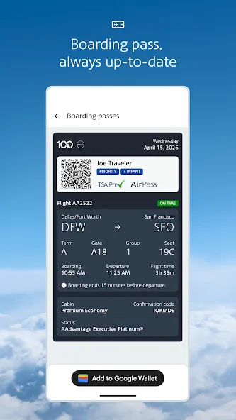 American Airlines screenshot 6