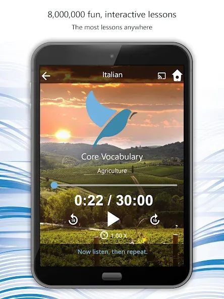 Learn 163 Languages | Bluebird screenshot 18