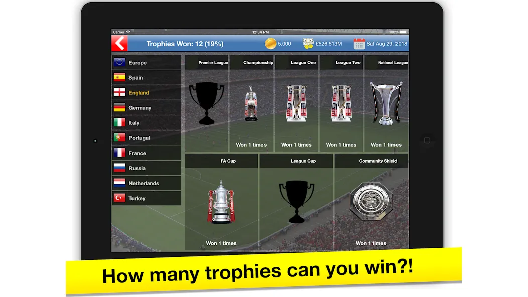 Soccer Tycoon: Football Game screenshot 8