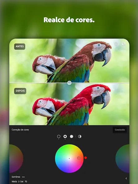 Lightroom Edite fotos e vídeos screenshot 14