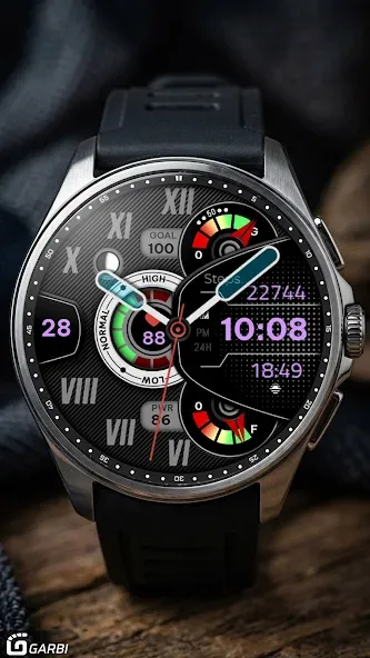 Garbi 103: Hybrid Watch Face screenshot 3