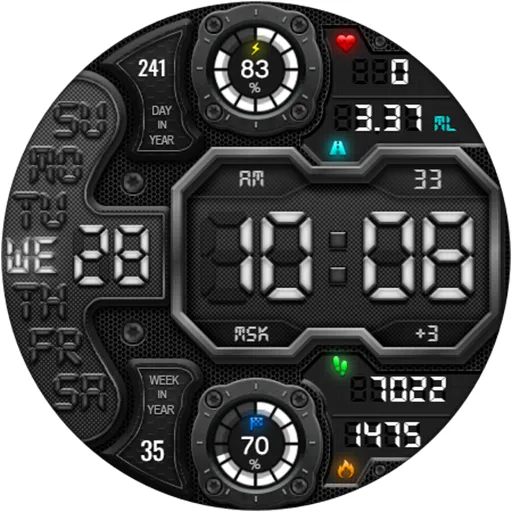 DIGI RAPANS WS24 Watch face screenshot 17