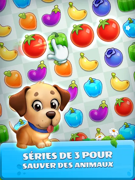 Sauveteurs d'animaux : Secoure screenshot 11
