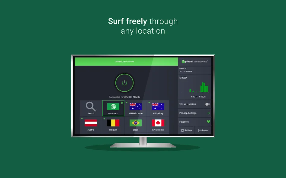 Private Internet Access VPN screenshot 13